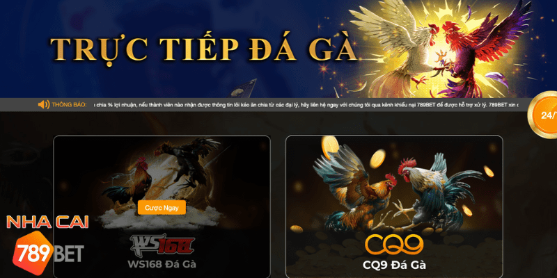 Đá gà trực tuyến 789 bet đỉnh cao