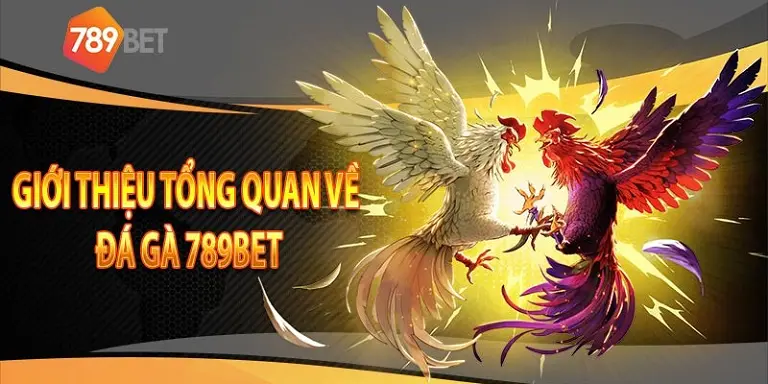 Tổng quan về đá gà tại 789bet 