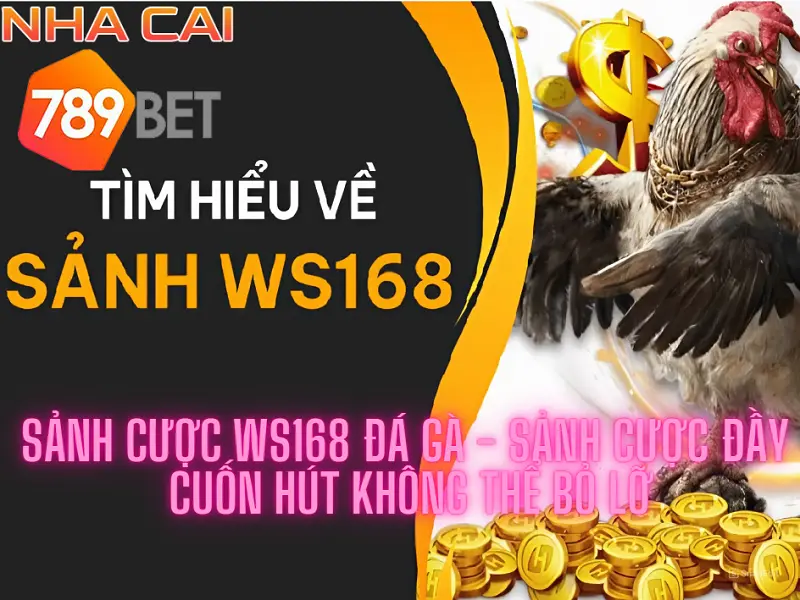 Sảnh cược WS168 đá gà – Sảnh cược đầy cuốn hút không thể bỏ lỡ