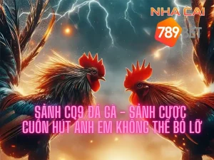 Sảnh CQ9 đá gà - Sảnh cược cuốn hút anh em không thể bỏ lỡ