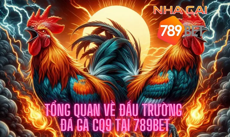 Tổng quan về đấu trường đá gà CQ9 tại 789bet