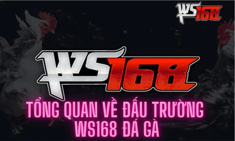 Tổng quan về đấu trường WS168 đá gà